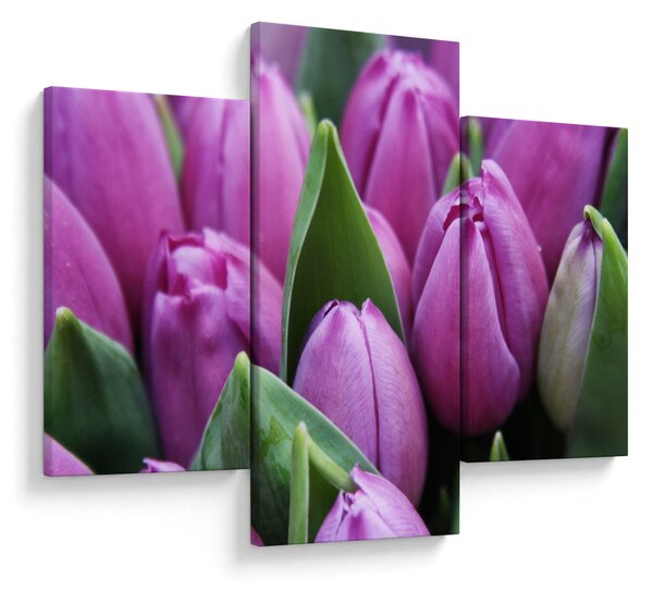 Slika - cvijeće tulipana (90x60 cm)