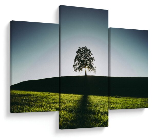 Slika prirode - stablo (90x60 cm)
