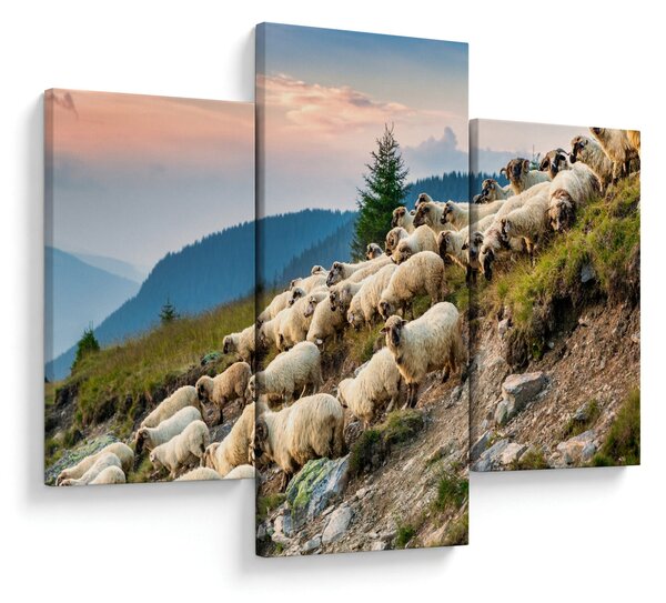 Slika - Stado ovaca (90x60 cm)