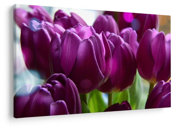 Slika tulipana (90x60 cm)