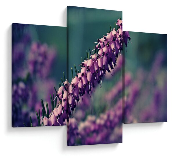 Slika ljubičastog cvijeta (90x60 cm)