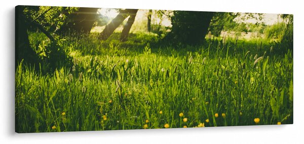 Slika prirode - livada (120x50 cm)