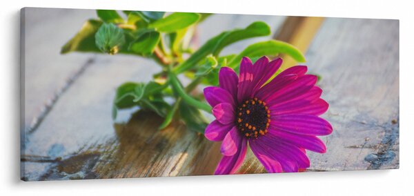 Slika rezanog cvijeta (120x50 cm)