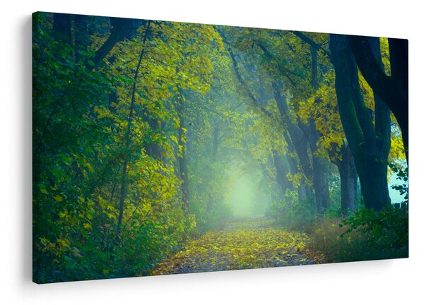 Slika staze obrubljene drvećem (90x60 cm)