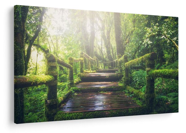 Slika - drvene stepenice u šumi (90x60 cm)