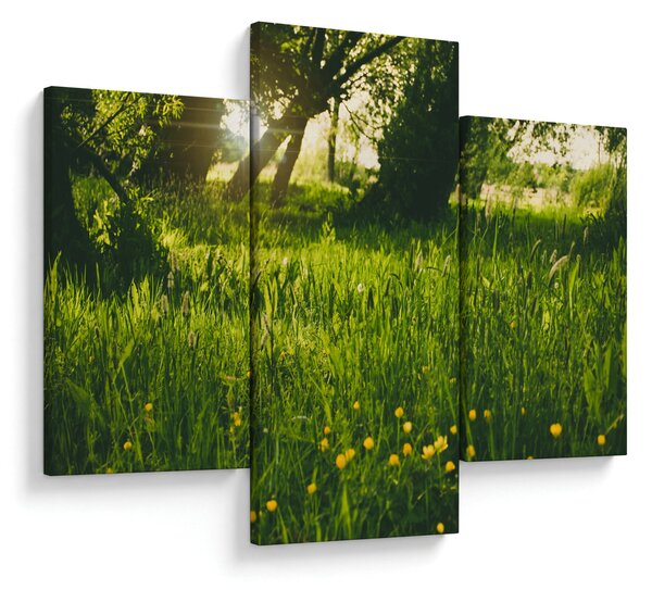Slika prirode - livada (90x60 cm)