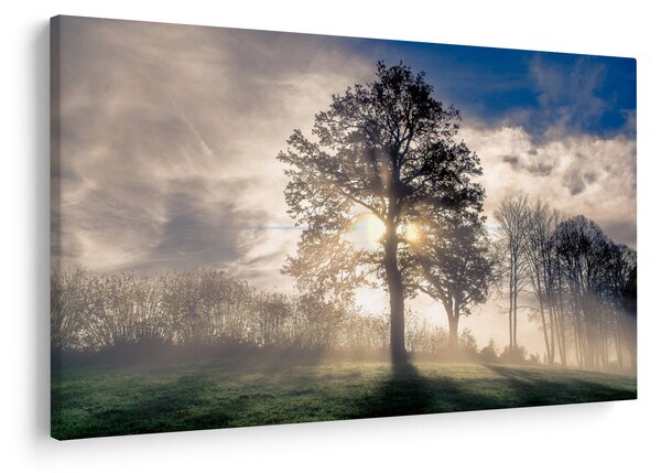 Slika drveta u magli (90x60 cm)