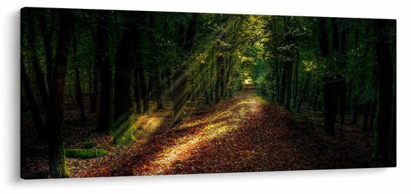 Slika šumskog puta (120x50 cm)