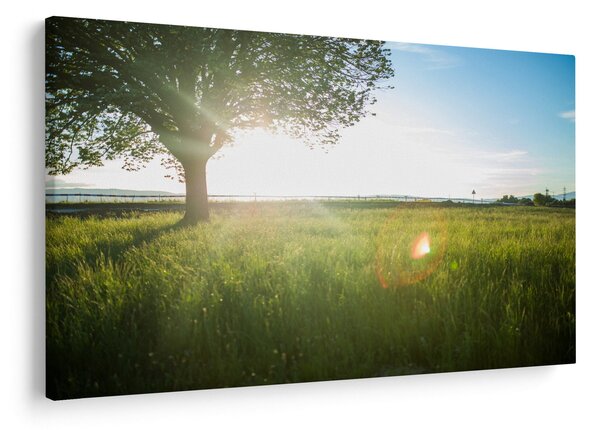 Slika ljetne livade (90x60 cm)