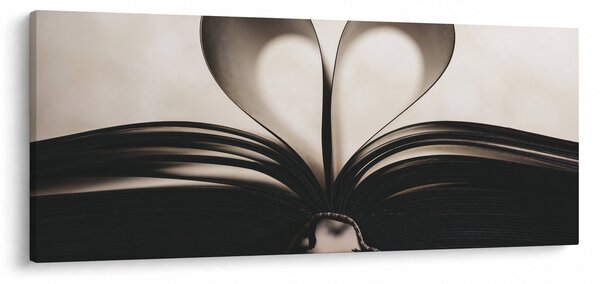 Slika knjige (120x50 cm)
