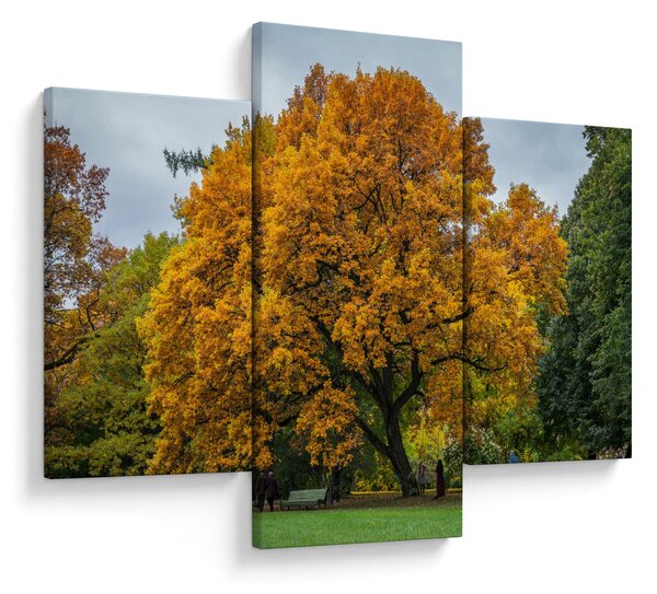 Slika stabla (90x60 cm)