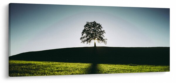 Slika prirode - stablo (120x50 cm)