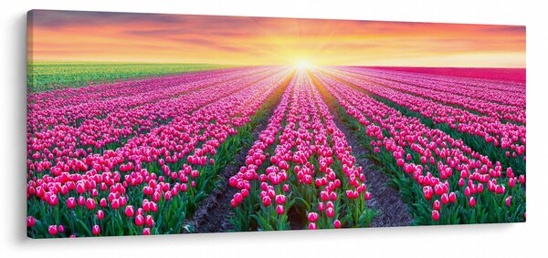 Slika polja tulipana sa suncem (120x50 cm)