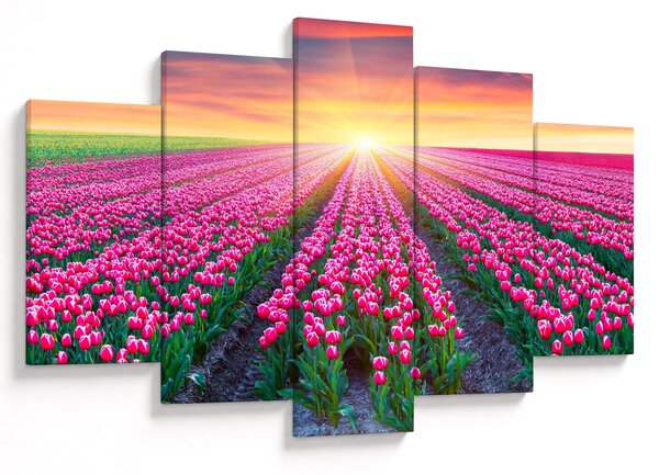 Slika polja tulipana sa suncem (150x105 cm)