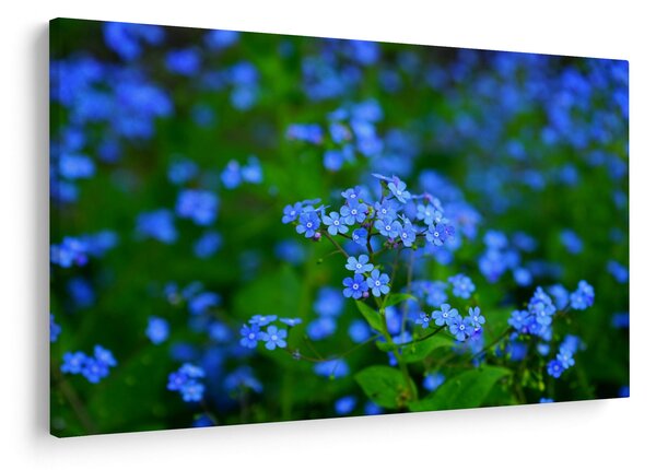 Slika plavog cvijeća (90x60 cm)