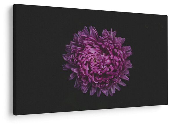 Slika ljubičastog cvijeta (90x60 cm)