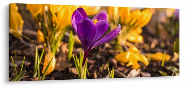 Slika ljubičastog cvijeta (120x50 cm)