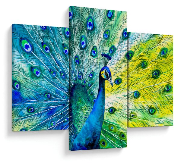 Podoba pava (90x60 cm)