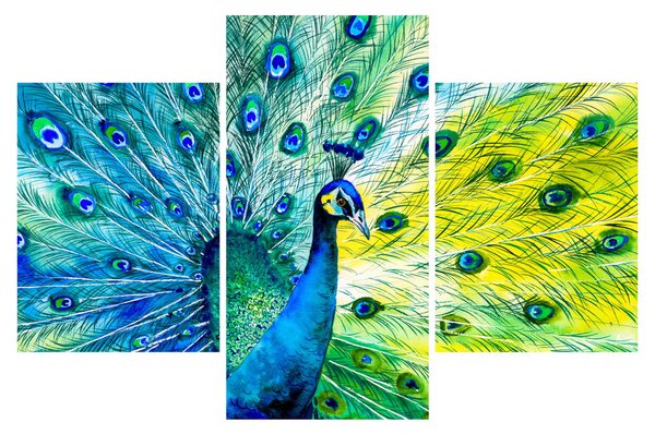 Podoba pava (90x60 cm)