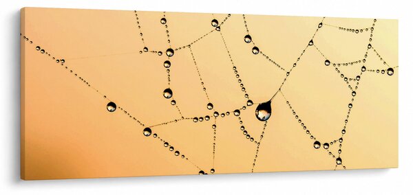 Slika rosne paučine (120x50 cm)