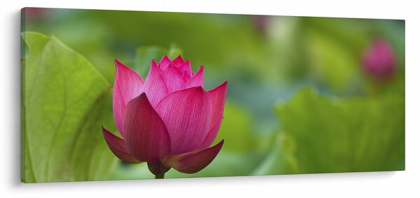 Slika - vodena biljka (120x50 cm)