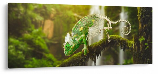Slika kameleona (120x50 cm)