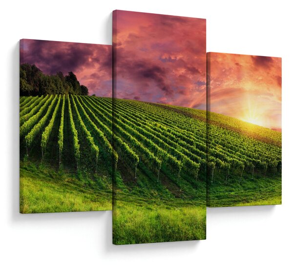 Slika vinograda s obojenim nebom (90x60 cm)