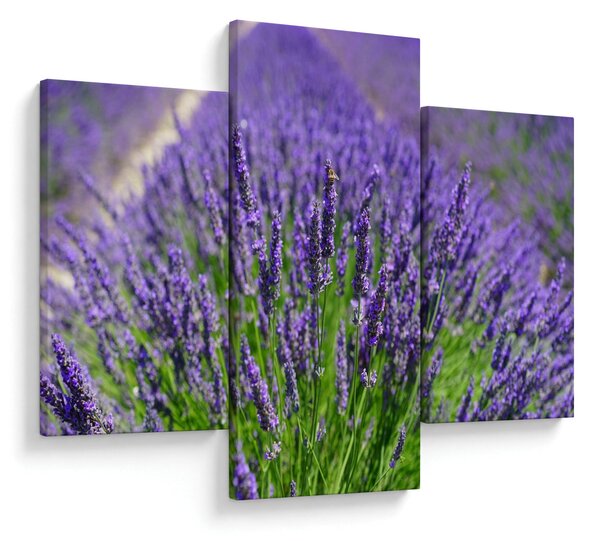 Slika - lavanda (90x60 cm)