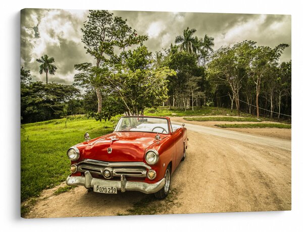 Slika - veteranski automobil u prirodi (70x50 cm)