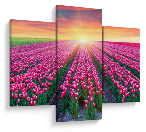 Slika polja tulipana sa suncem (90x60 cm)