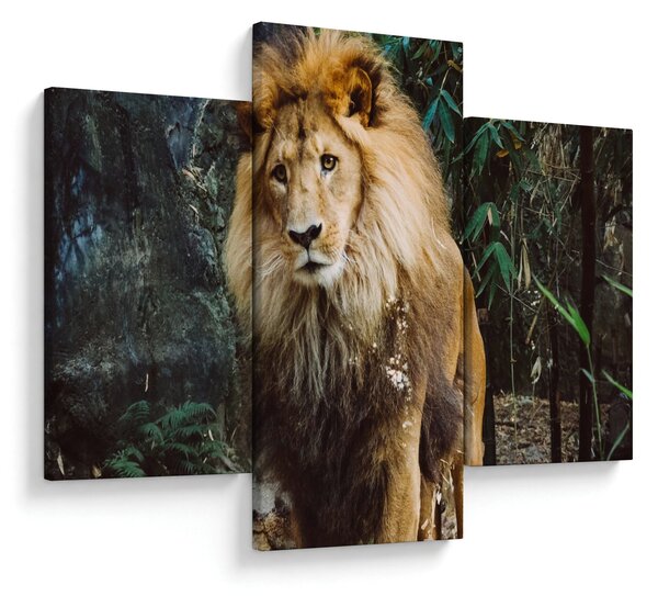 Slika lava u prirodi (90x60 cm)