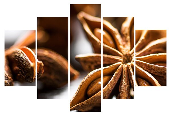 Slika - Anis (150x105 cm)