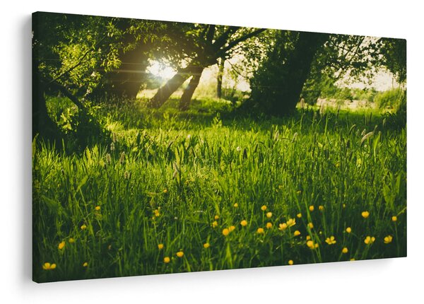 Slika prirode - livada (90x60 cm)