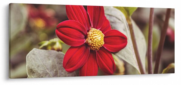 Slika cvijeta (120x50 cm)
