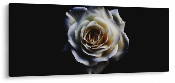 Slika bijele ruže (120x50 cm)