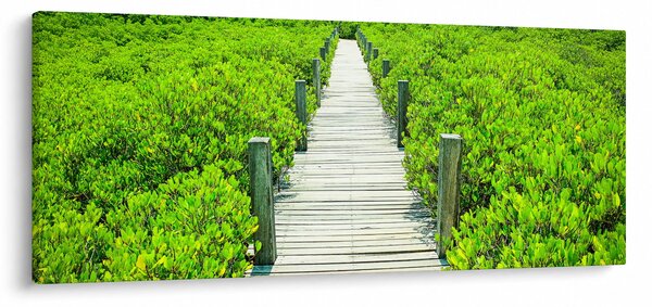 Slika - drvena staza (120x50 cm)
