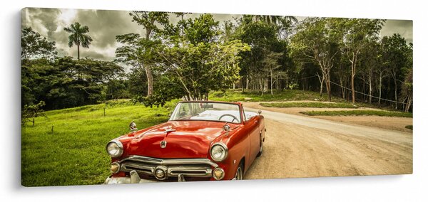 Slika - veteranski automobil u prirodi (120x50 cm)