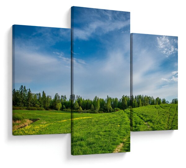 Slika livade (90x60 cm)