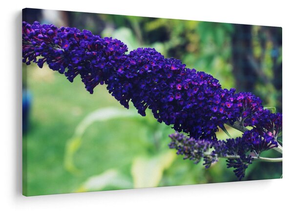 Slika plavog cvijeta (90x60 cm)