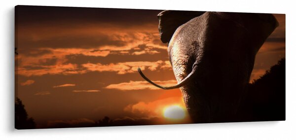 Slika slona (120x50 cm)