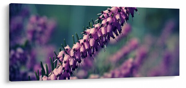 Slika ljubičastog cvijeta (120x50 cm)