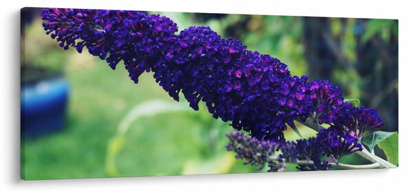 Slika plavog cvijeta (120x50 cm)