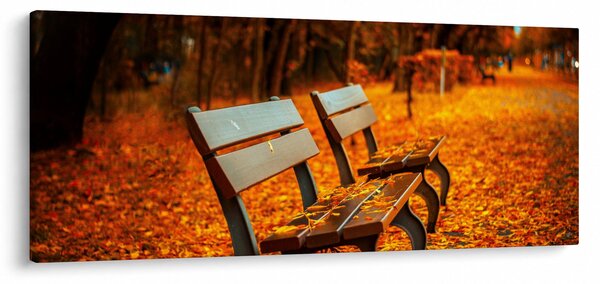 Slika klupe u jesen (120x50 cm)