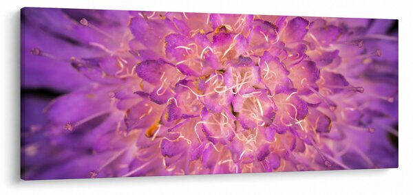 Detaljna slika cvijeta (120x50 cm)