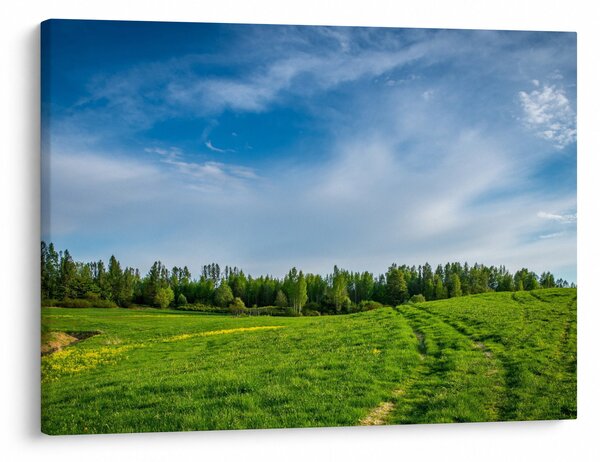 Slika livade (70x50 cm)