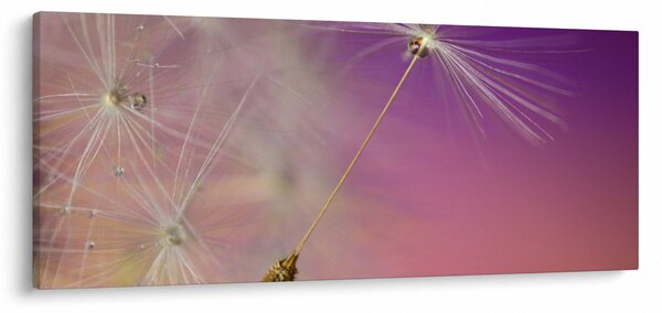 Slika sreće (120x50 cm)