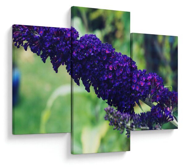 Slika plavog cvijeta (90x60 cm)