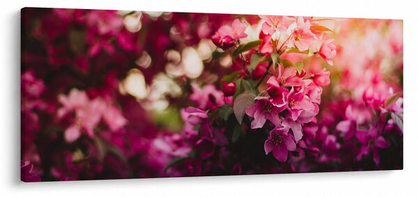 Slika cvijetova procvalog grma (120x50 cm)