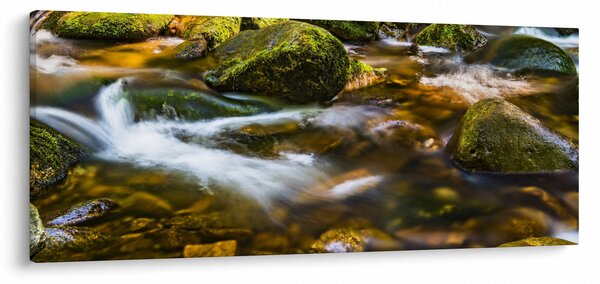 Slika potoka (120x50 cm)