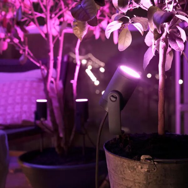Lily HUE WACA VANJSKI REFLEKTOR SA ŠILJKOM crni 1x8W 24V 8718696167977